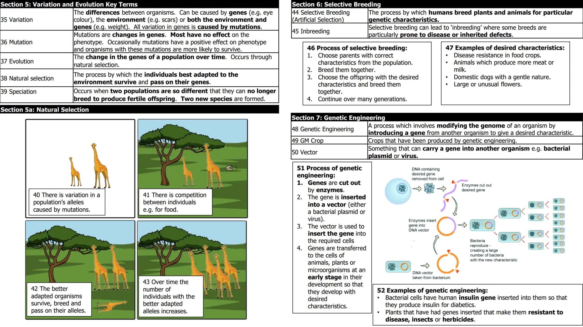 Biology 6: Inheritance, Variation, Evolution
Section 1a: Sexual and Asexual Reproduction
1 Sexual Reproduction Reproduction involving the fu