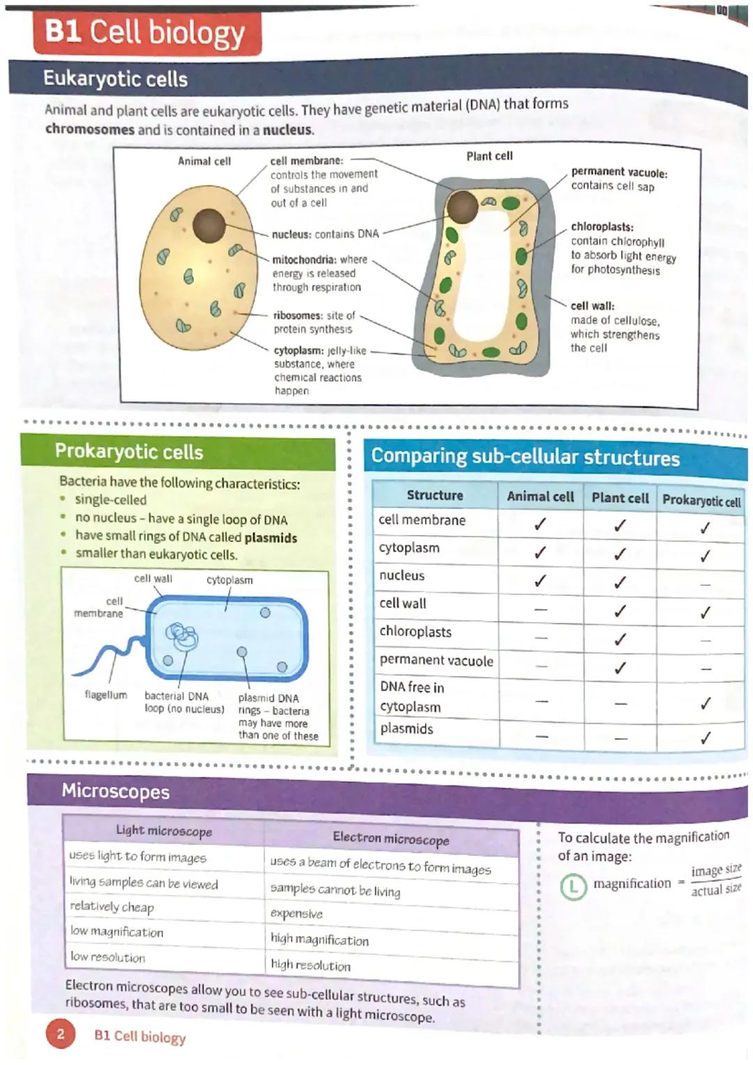 GCSE Biology-Higher