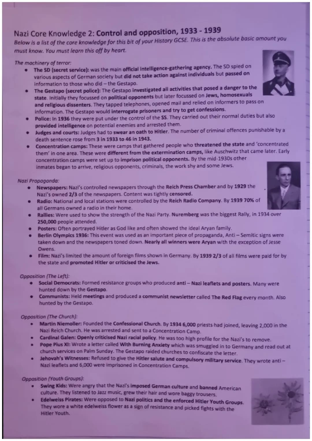 Nazi Core Knowledge 1: Democracy to Dictatorship
Below is a list of the core knowledge for this bit of your History GCSE. This is the absolu