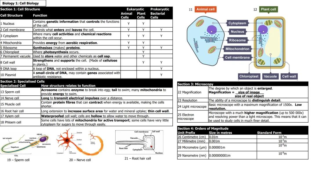TOPIC 1 :CELL BIOLOGY (BIOLOGY)
