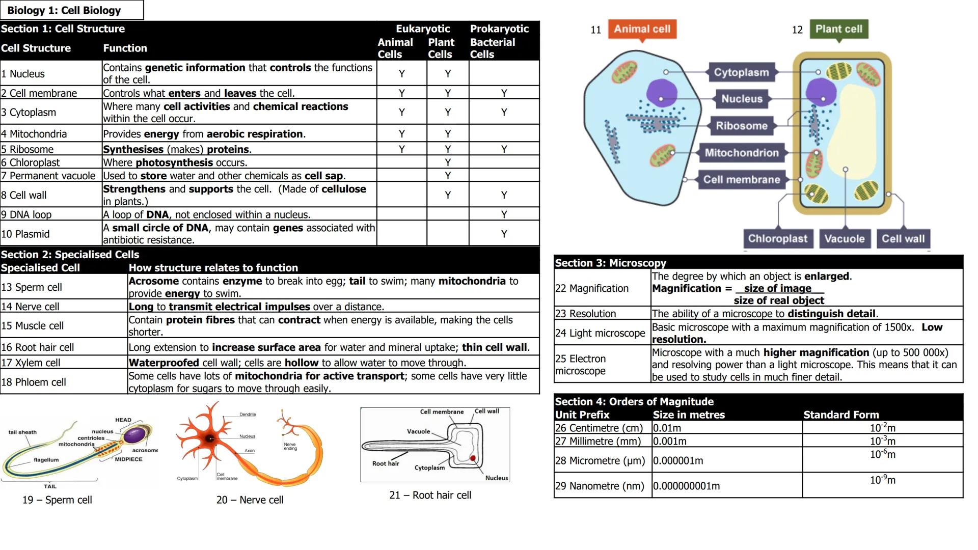 Biology 1: Cell Biology
Section 1: Cell Structure
Cell Structure
1 Nucleus
2 Cell membrane
3 Cytoplasm
4 Mitochondria
5 Ribosome
6 Chloropla