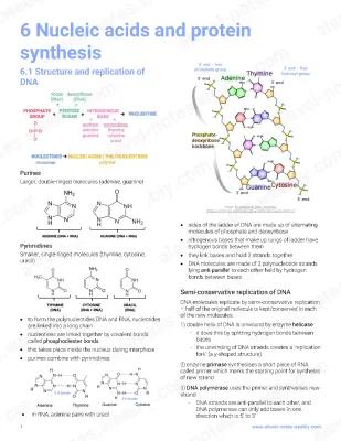 Know DNA RNA AND PROTEIN SYNTHESIS  thumbnail