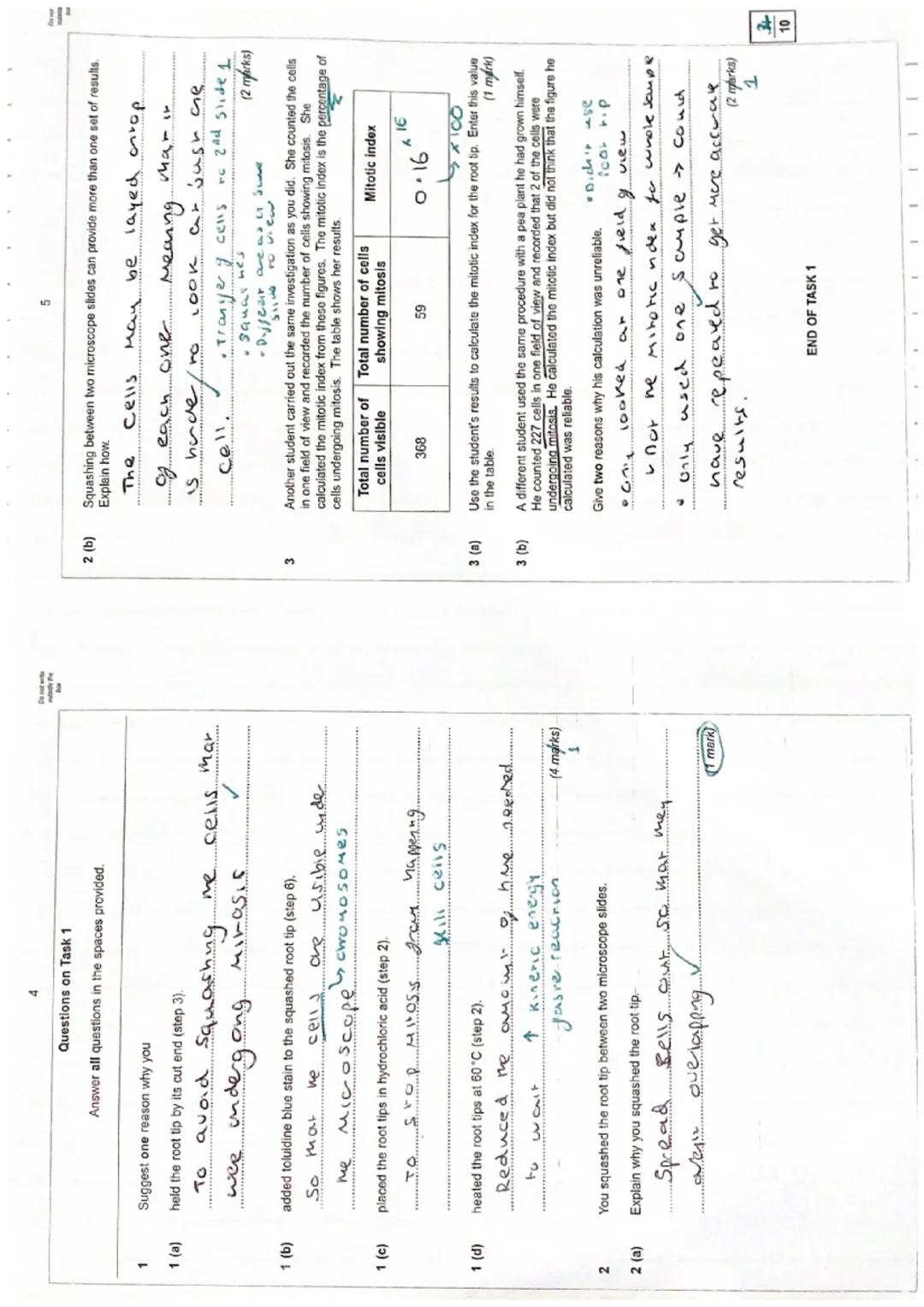 # Focus on maths skills

## Using an eyepiece graticule and calculating magnification

An eyepiece graticule is a glass or plastic disc with