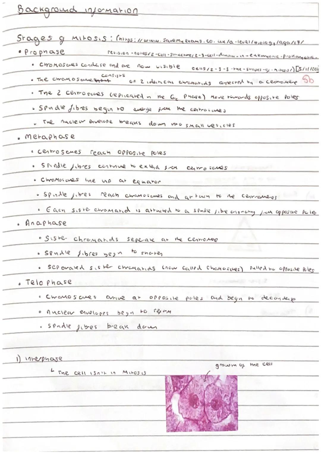# Focus on maths skills

## Using an eyepiece graticule and calculating magnification

An eyepiece graticule is a glass or plastic disc with