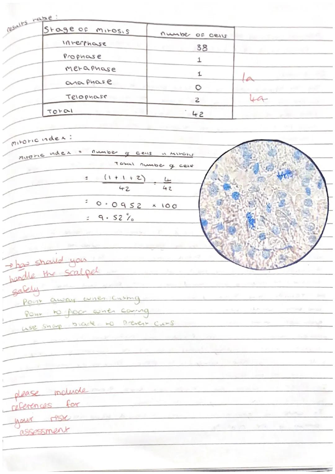 # Focus on maths skills

## Using an eyepiece graticule and calculating magnification

An eyepiece graticule is a glass or plastic disc with