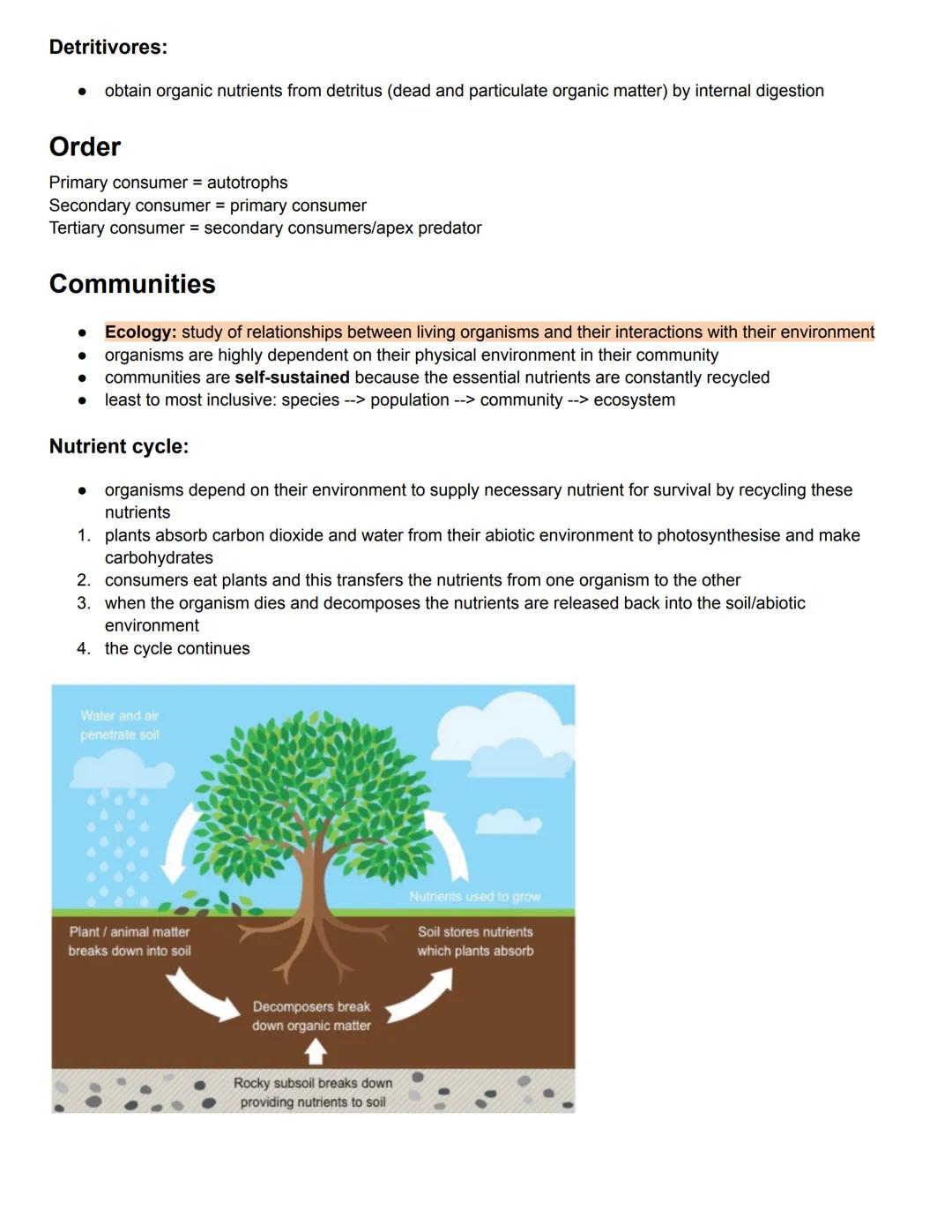 C4.1 Species, Communities and Ecosystems
Definitions:
Key word
Species
Population
Community
Ecosystem
Habitat
Autotrophs
Definition
a group 