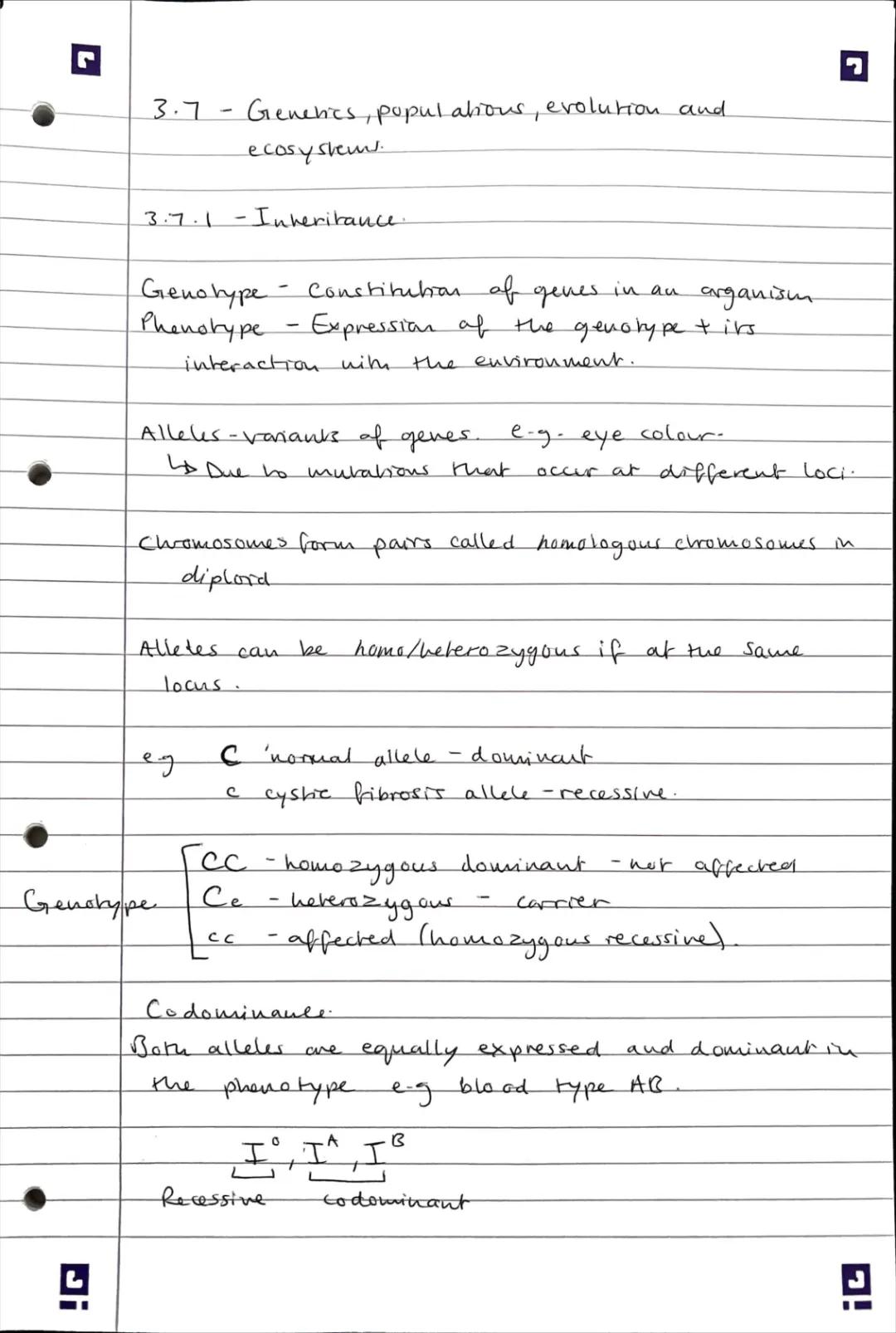 Genetics Fun: Genotype and Phenotype, Dihybrid Cross & Chi-square Test