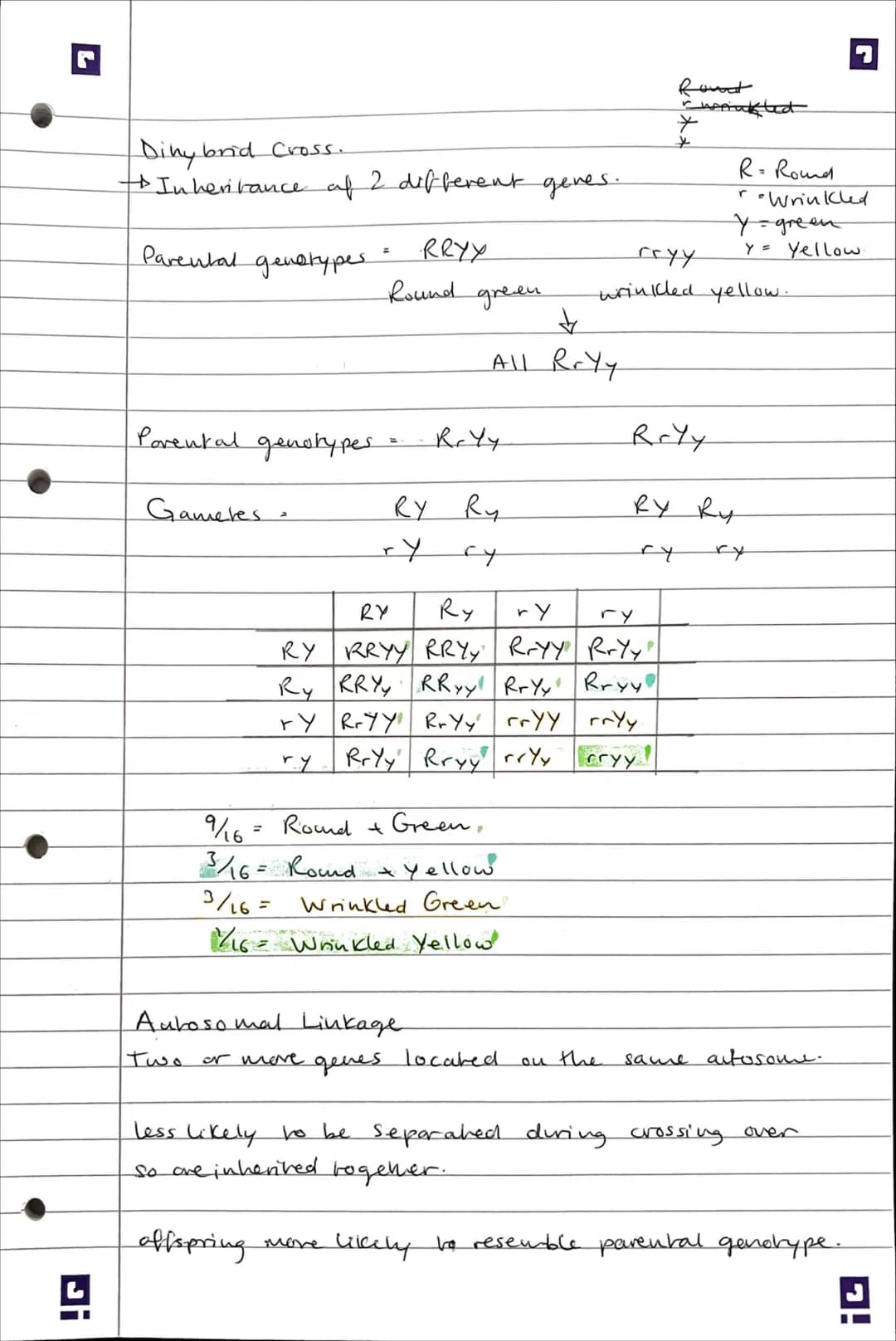 3.7 - Generics, populatious, evolution and
ecosystems.
Ji
3.7.1 - Inheritance..
arganism
Genotype - Constitution of genes in an
Phenotype - 