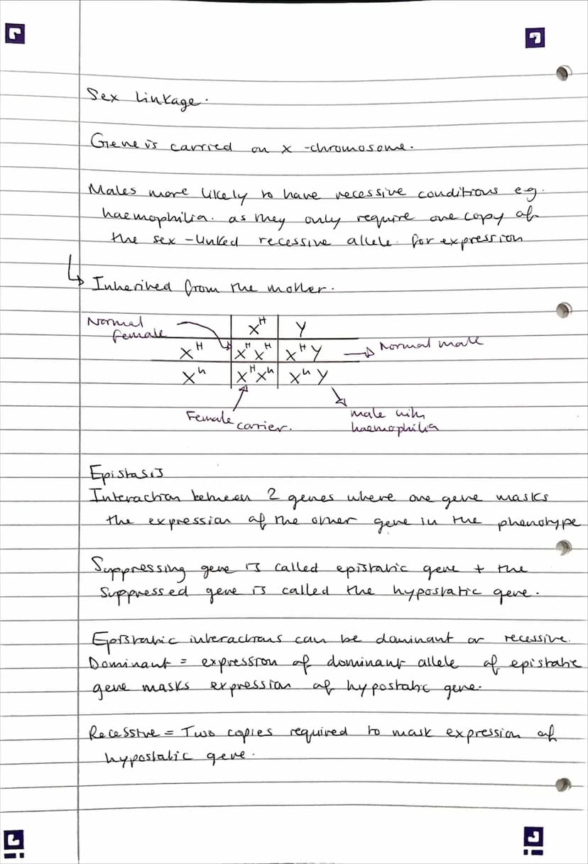 3.7 - Generics, populatious, evolution and
ecosystems.
Ji
3.7.1 - Inheritance..
arganism
Genotype - Constitution of genes in an
Phenotype - 
