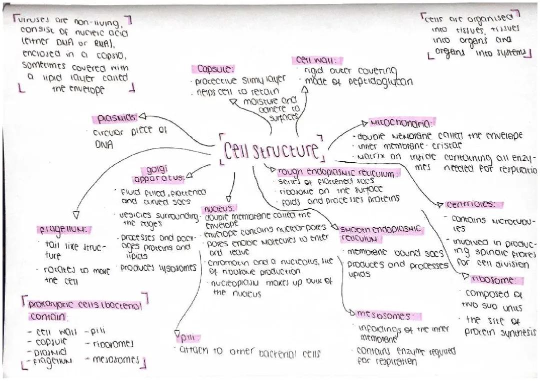 Cell structure - AQA AS/A level Biology 