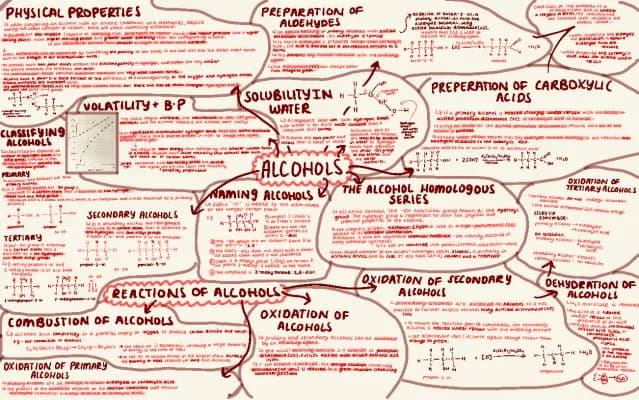 Know Alcohol Mindmap🧪 thumbnail