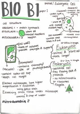 Know Biology B1-B7 key topics summarised thumbnail