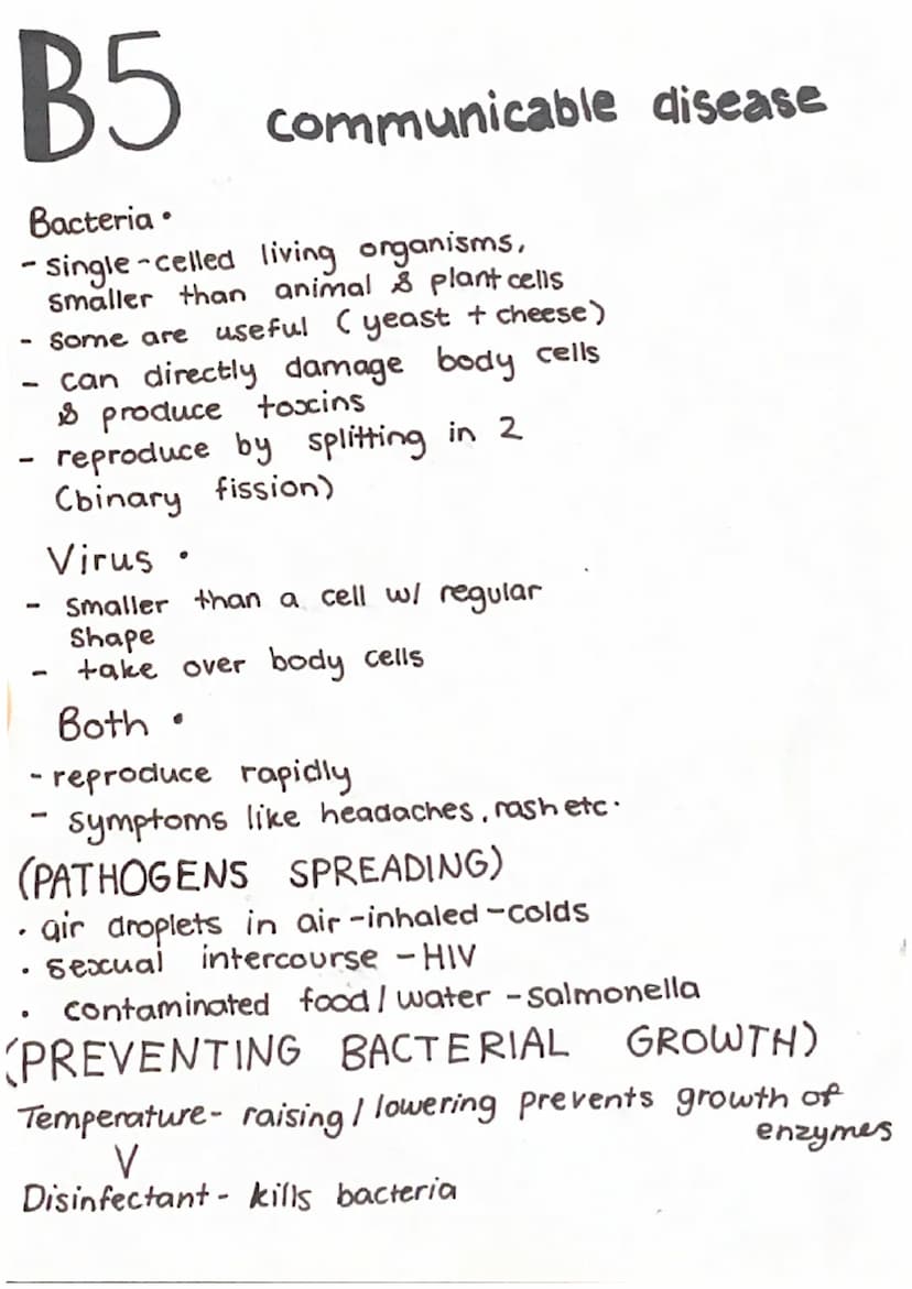 BIO BI
cell structure
RIBOSOME protein synthesis
CYTOPLASM =
where all
chemical reactions
happen
=
MITOCHONDRIA =
paper 1
animal / Eukaryoti