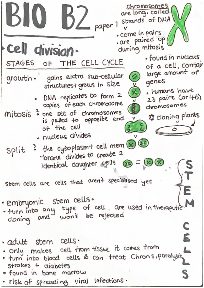 BIO BI
cell structure
RIBOSOME protein synthesis
CYTOPLASM =
where all
chemical reactions
happen
=
MITOCHONDRIA =
paper 1
animal / Eukaryoti