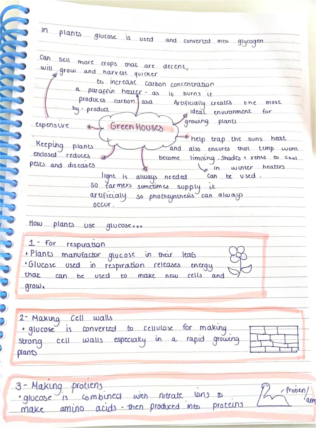 Biology
Prokaryotic - no neucleus
Eukaryotic - has a neucleus.
Eukaryotic
Procariotic
• Cell contains -
s-cytoplaum. • cell contains - rubas