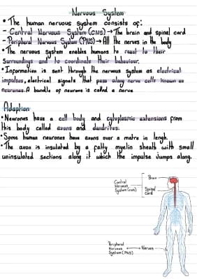 Know B5 science notes thumbnail