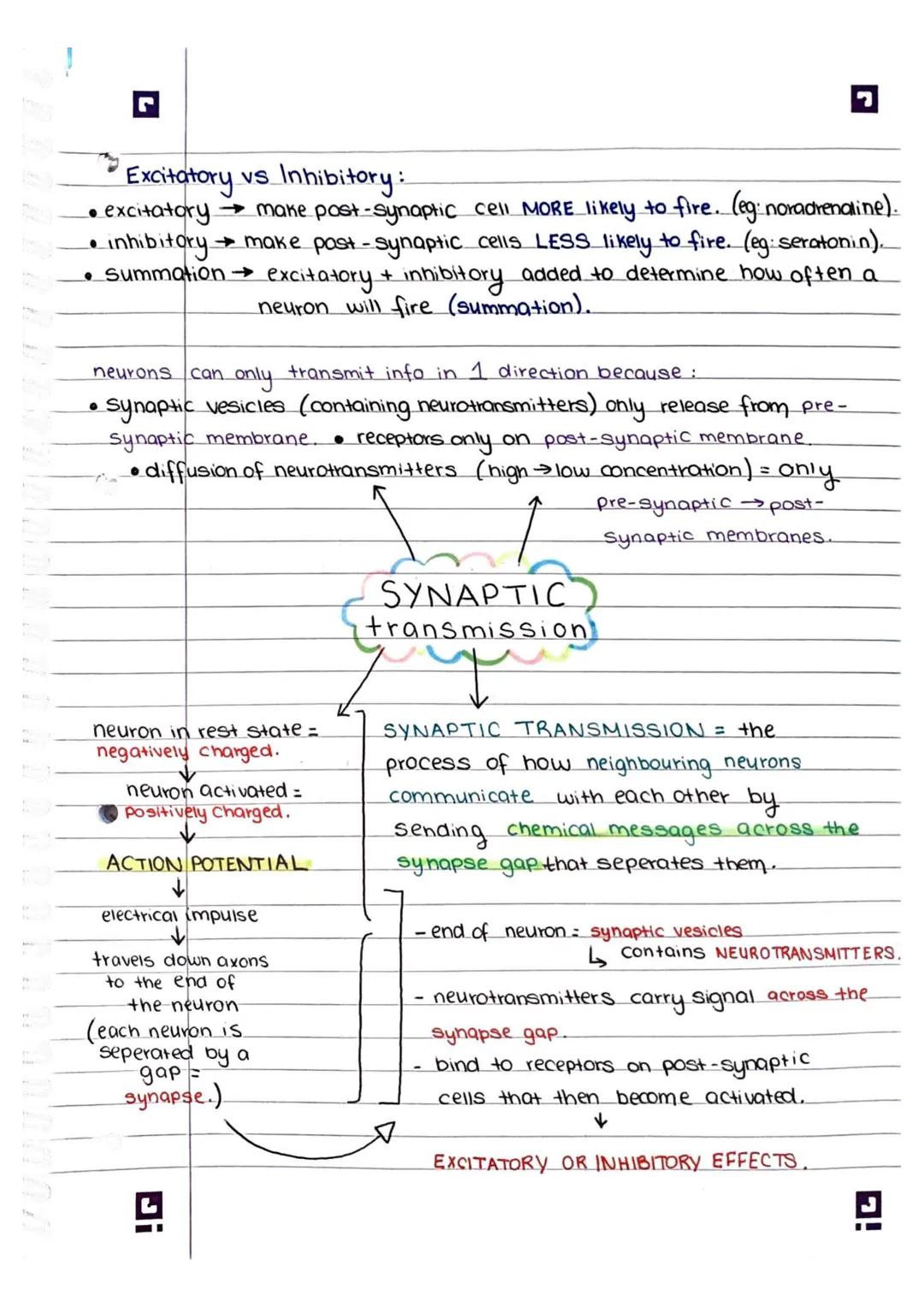 Synaptic Transmission 