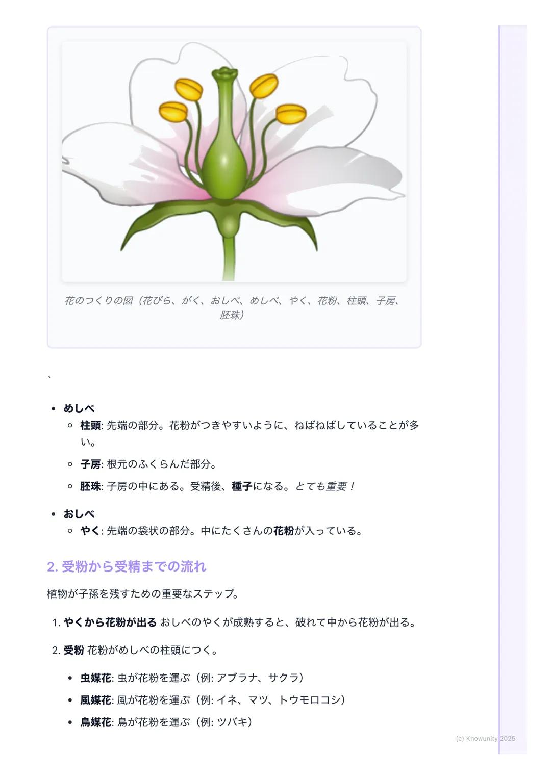 # 植物の生殖

植物の生殖について

生物が自分と同じ種類の子孫を残すことを生殖という。植物の多くは、花を使
って種子をつくり、仲間を増やす。これを有性生殖と呼ぶ。ここでは、花のつ
くりから種子ができるまでの流れをしっかり理解することが目標。

大事な言葉

- めしべ - 花