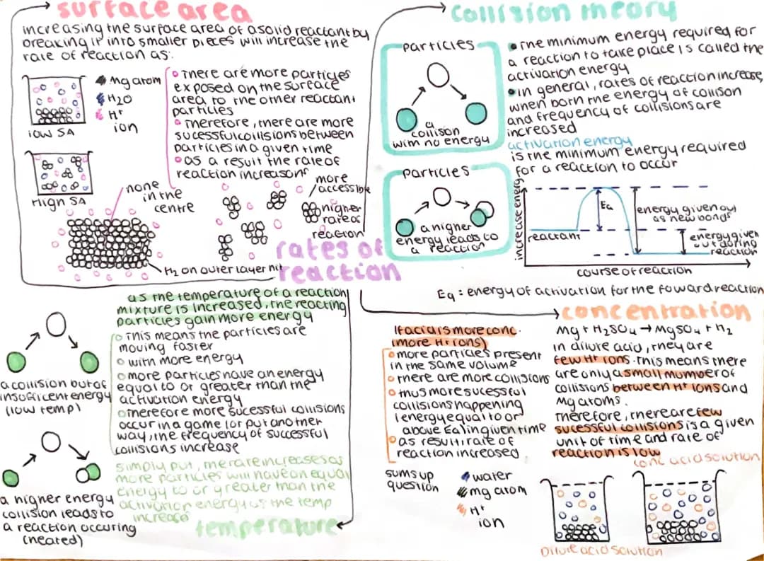 Fun CCEA GCSE Chemistry - Rates of Reaction Notes PDF, How to Calculate, Surface Area Examples, and Collision Theory