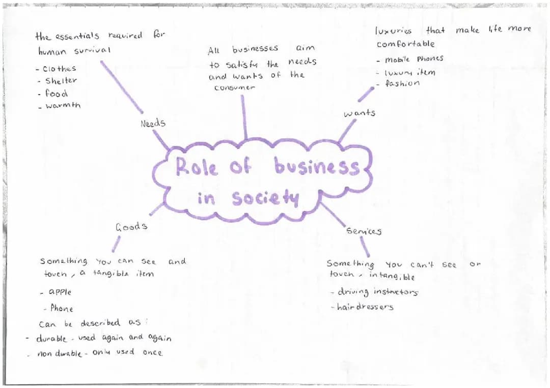 5 Essentials for Survival in Business: Understanding Needs and Wants