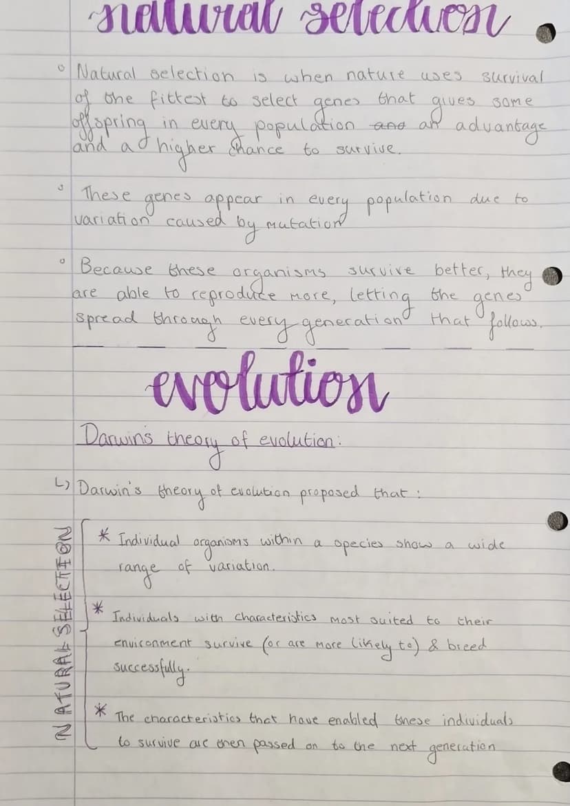 variation
&
evolution
vgesictic
bengistcotint variation
O
• Variation in a species is caused
3
by
Variation is both environmental and inheri