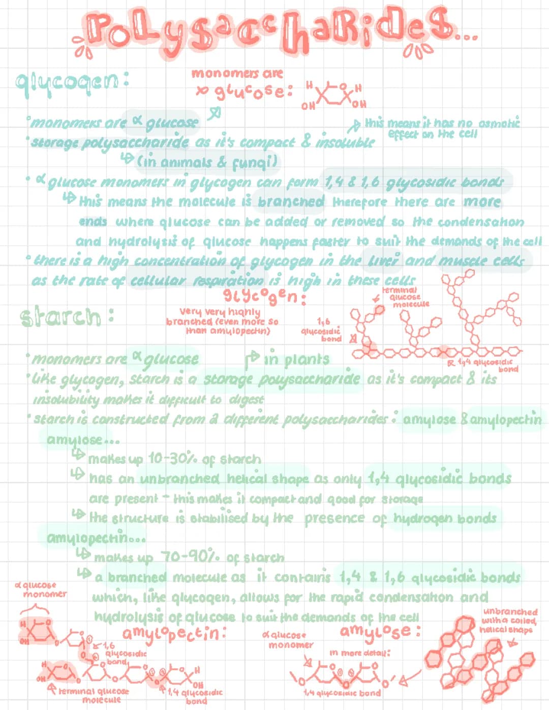 A-level Bio Polysaccharides