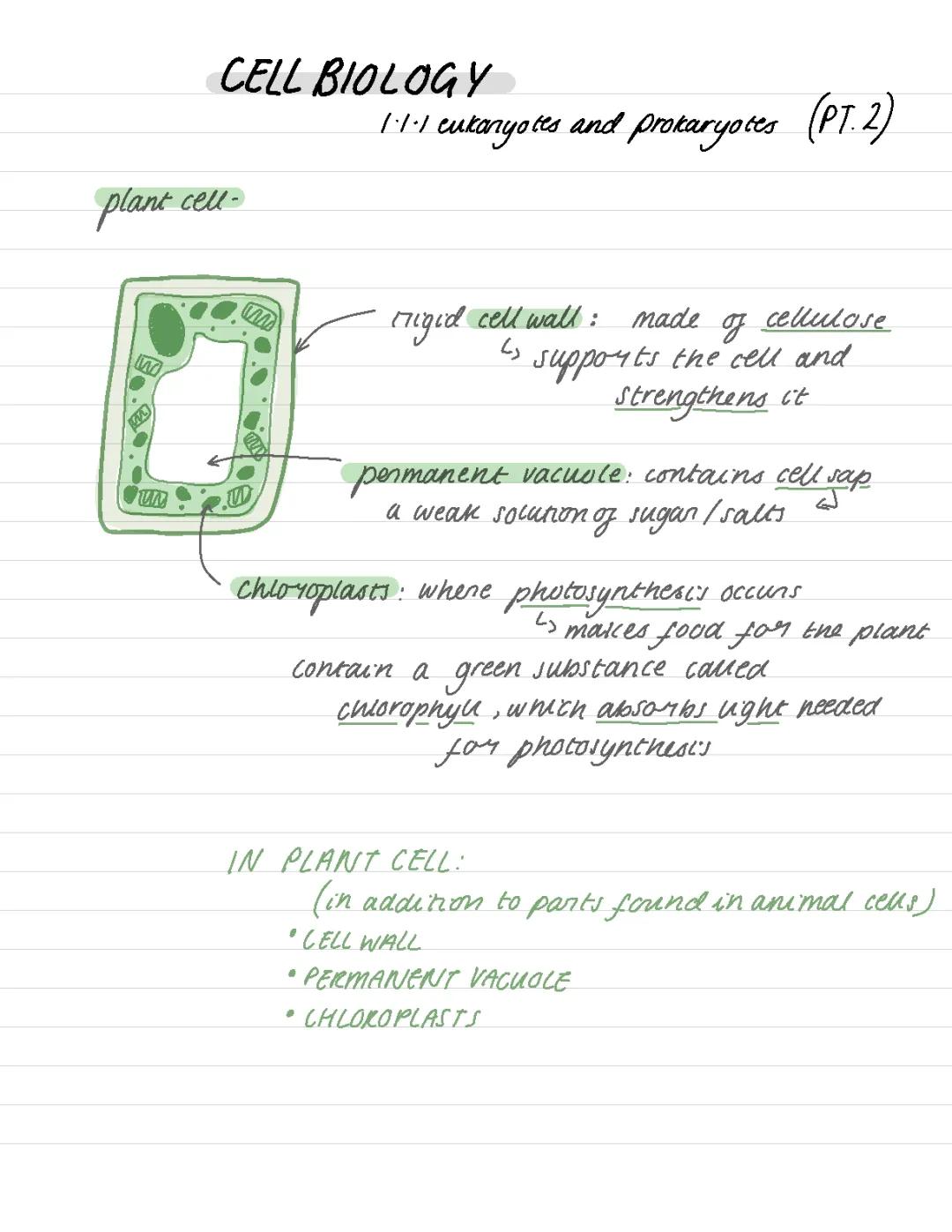 Biology AQA - Cell Biology Topics: PDF Notes, Past Papers, and Revision Questions