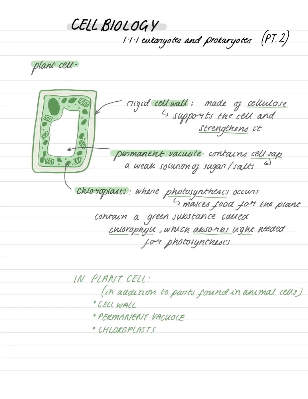 
<h2 id="biologyaqacellbiologynotes">Biology AQA Cell Biology Notes</h2>
<h3 id="eukaryoticandprokaryoticcellsdiagram">Eukaryotic and Prokar