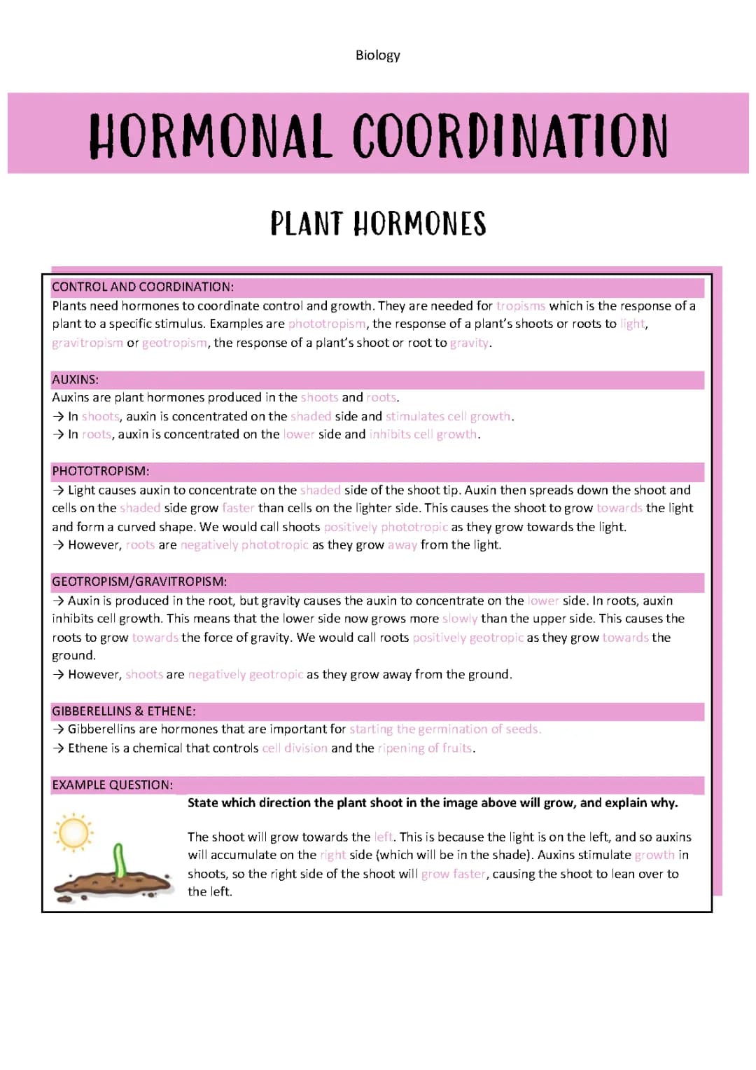 GCSE Plant Hormones and Hormonal Coordination in Plants - PDF and Notes