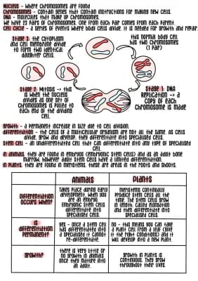 Know Biology B2 - Cell Division  thumbnail