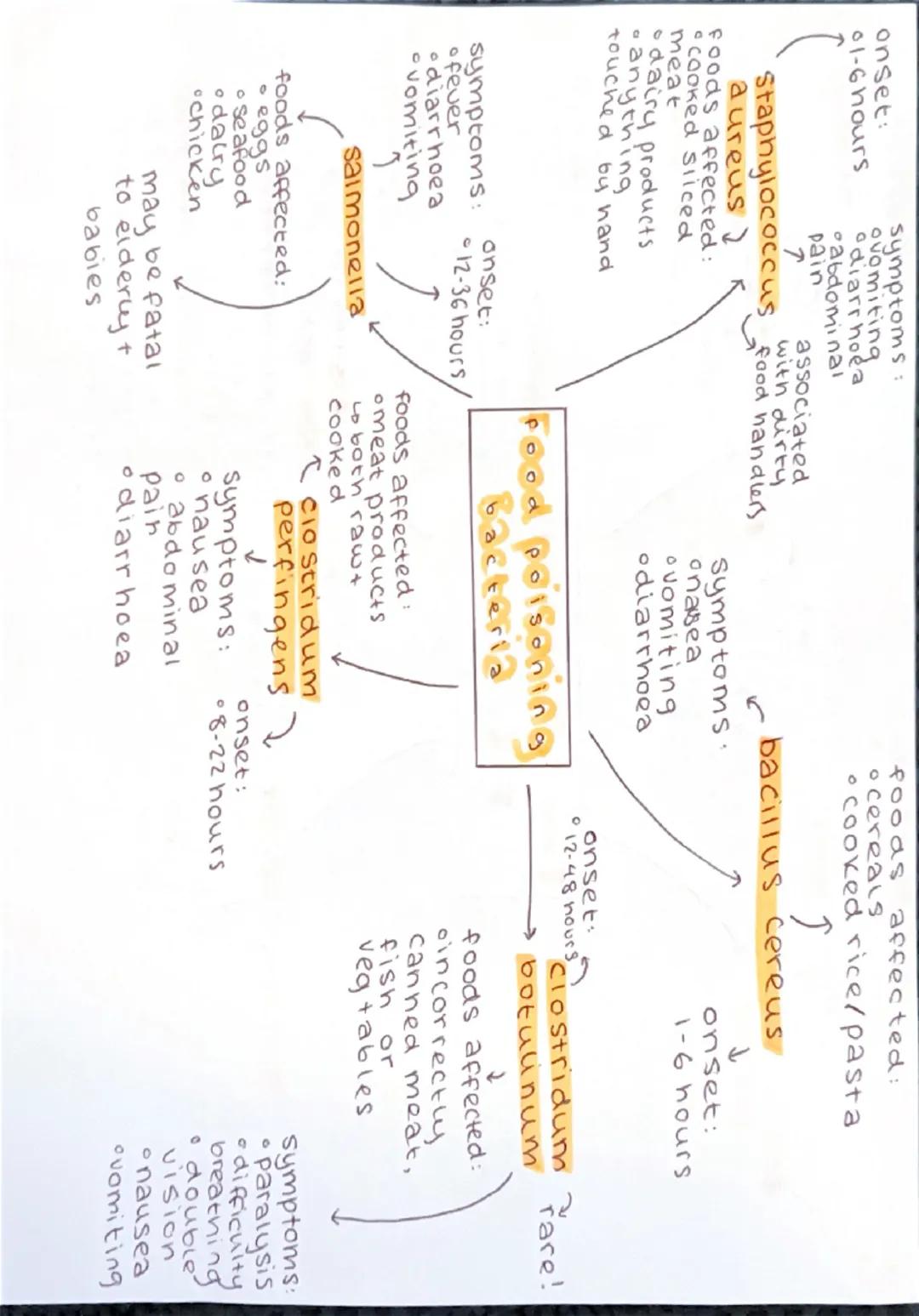 onset:
01-6 hours
(
symptoms:
ovomitinga
diarrhoea
abdominal
pain
associated
with dirty
Staphylococcus food handlers
aureus
foods affected:
