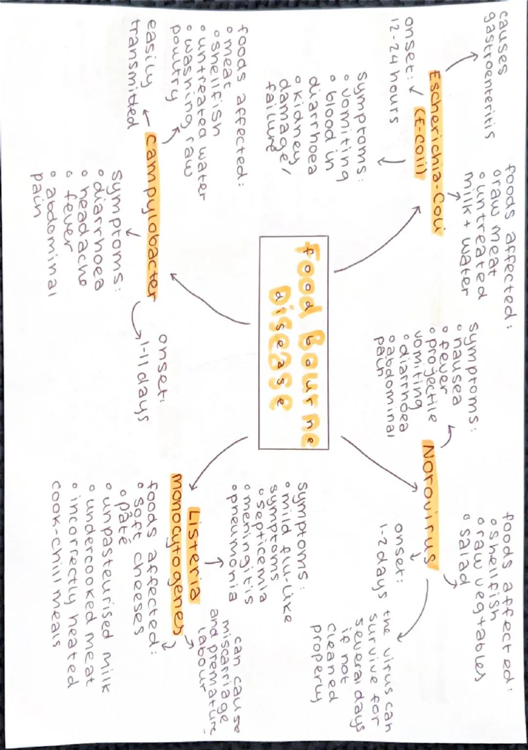 onset:
01-6 hours
(
symptoms:
ovomitinga
diarrhoea
abdominal
pain
associated
with dirty
Staphylococcus food handlers
aureus
foods affected:

