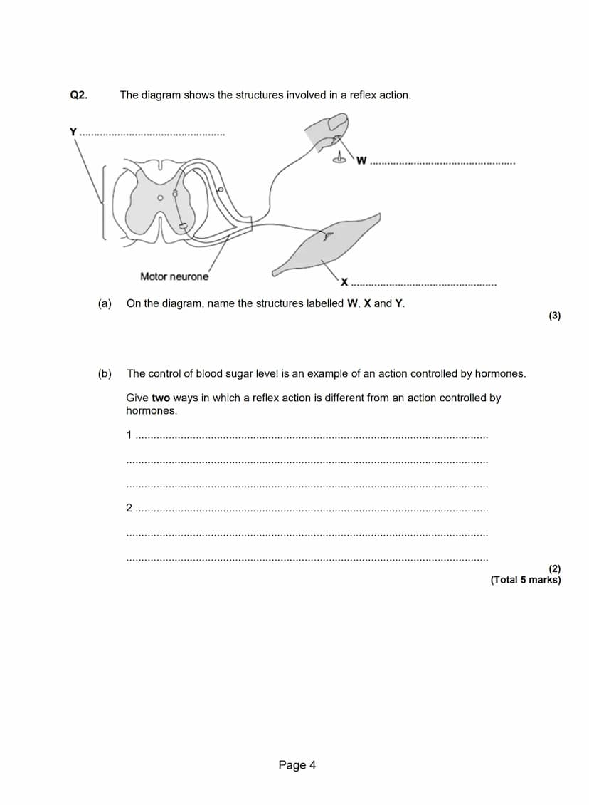 Q1.The pancreas and the liver are both involved in the control of the concentration of
glucose in the blood.
The liver has two veins:
the he