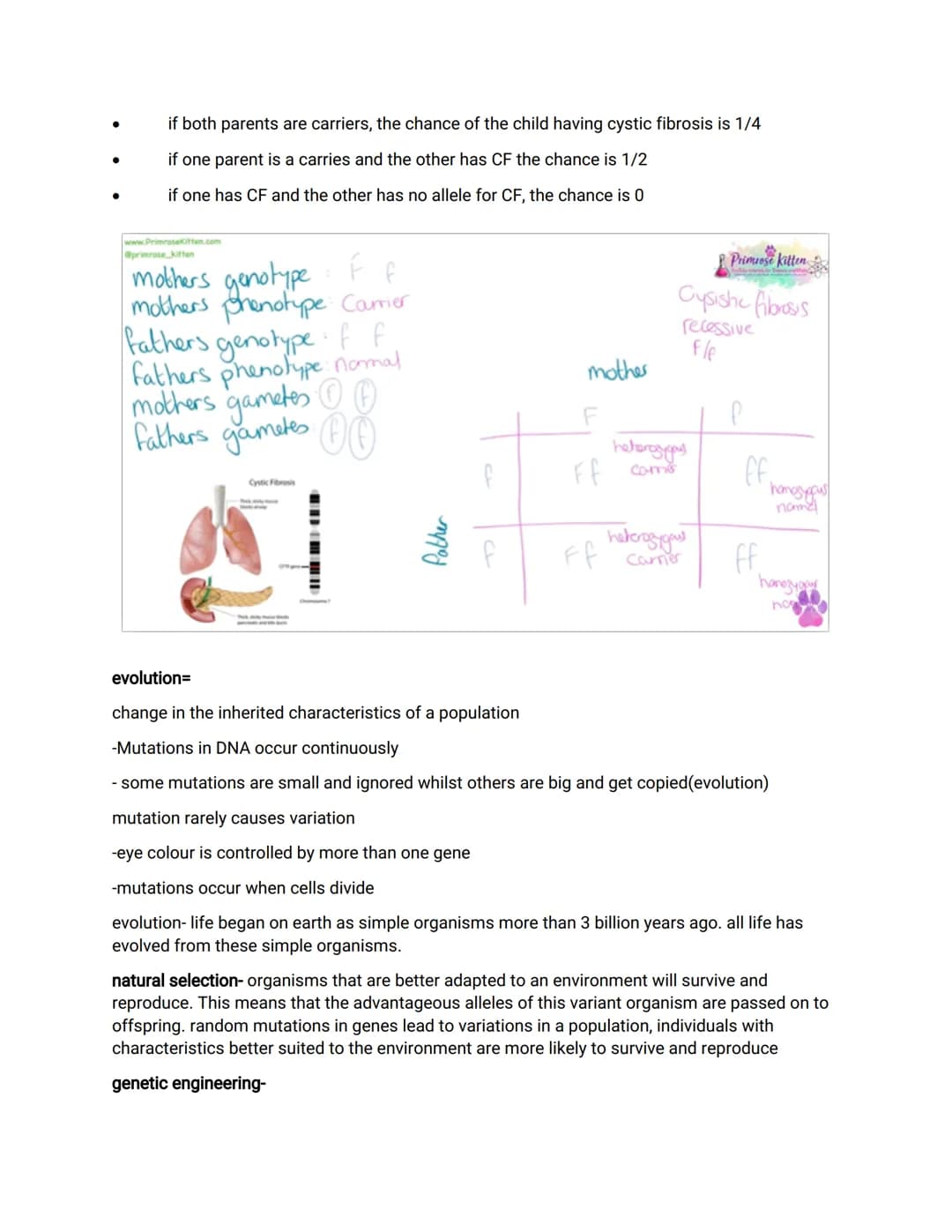 INHERITANCE, VARIATION & EVOLUTIO
Mitosis= two identical daughter cells
-growth/repair
-diploid cells
Meiosis= 4 different daughter cells
-s