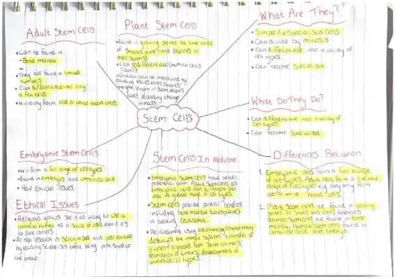 Know Stem Cells GCSE thumbnail