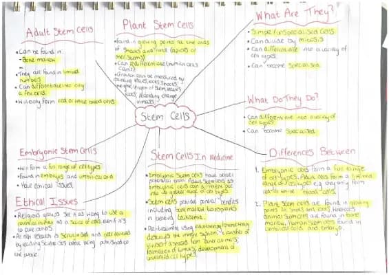 Know Stem Cells GCSE thumbnail