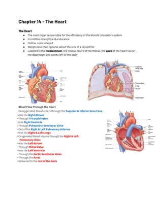 Know The Heart thumbnail