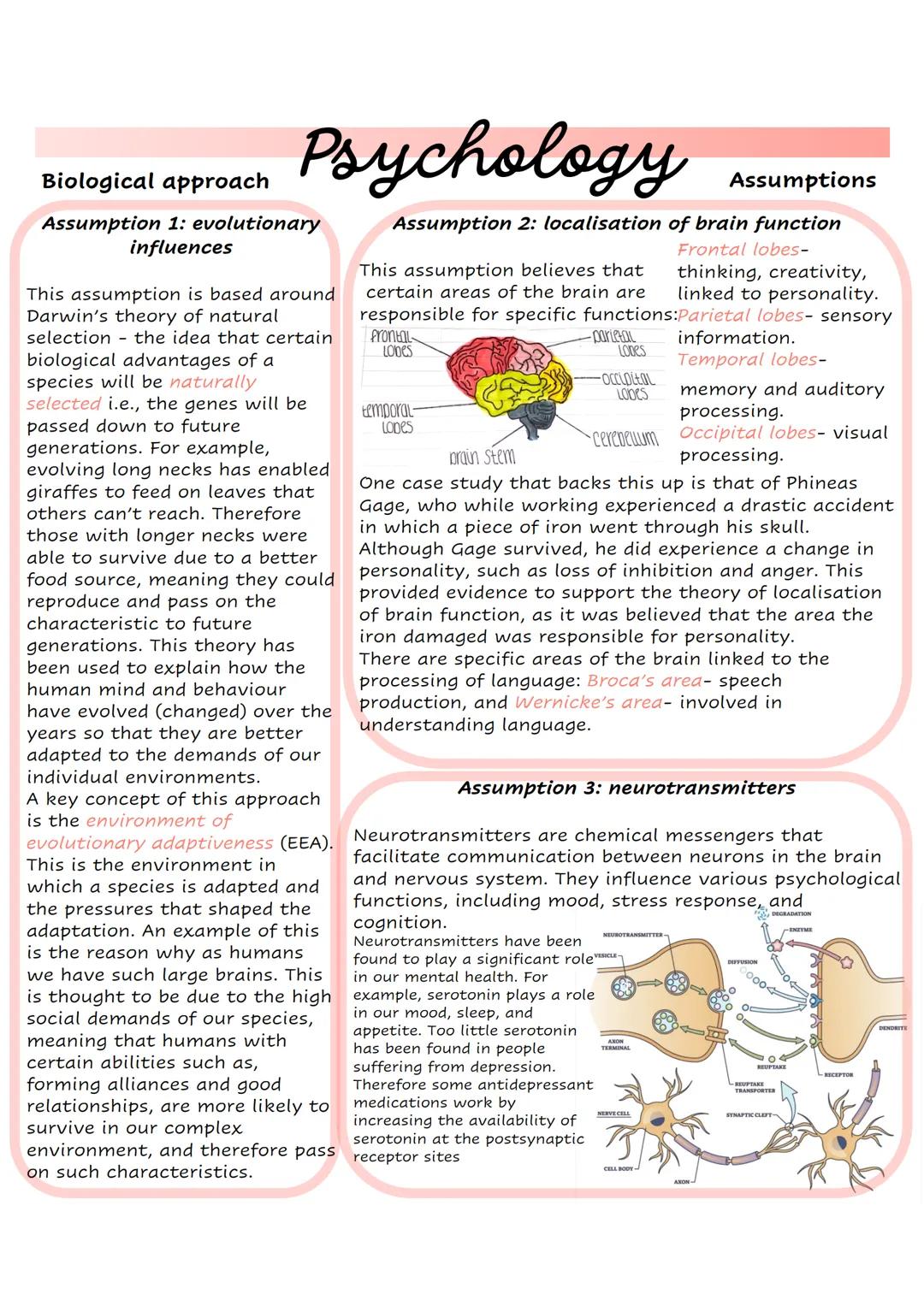 Biological approach assumptions