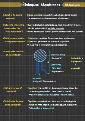 Know Biology - Biological Membranes  thumbnail