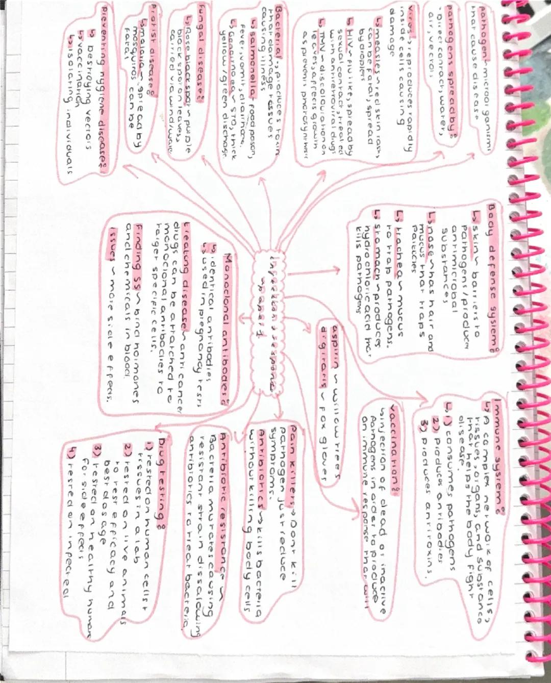 Eukaryares-cells that
have a nucleus (piant
and animais)
Prokaryotes cells thar
dont have a nucleus.
(bacteria)
nucleus contains generic mat