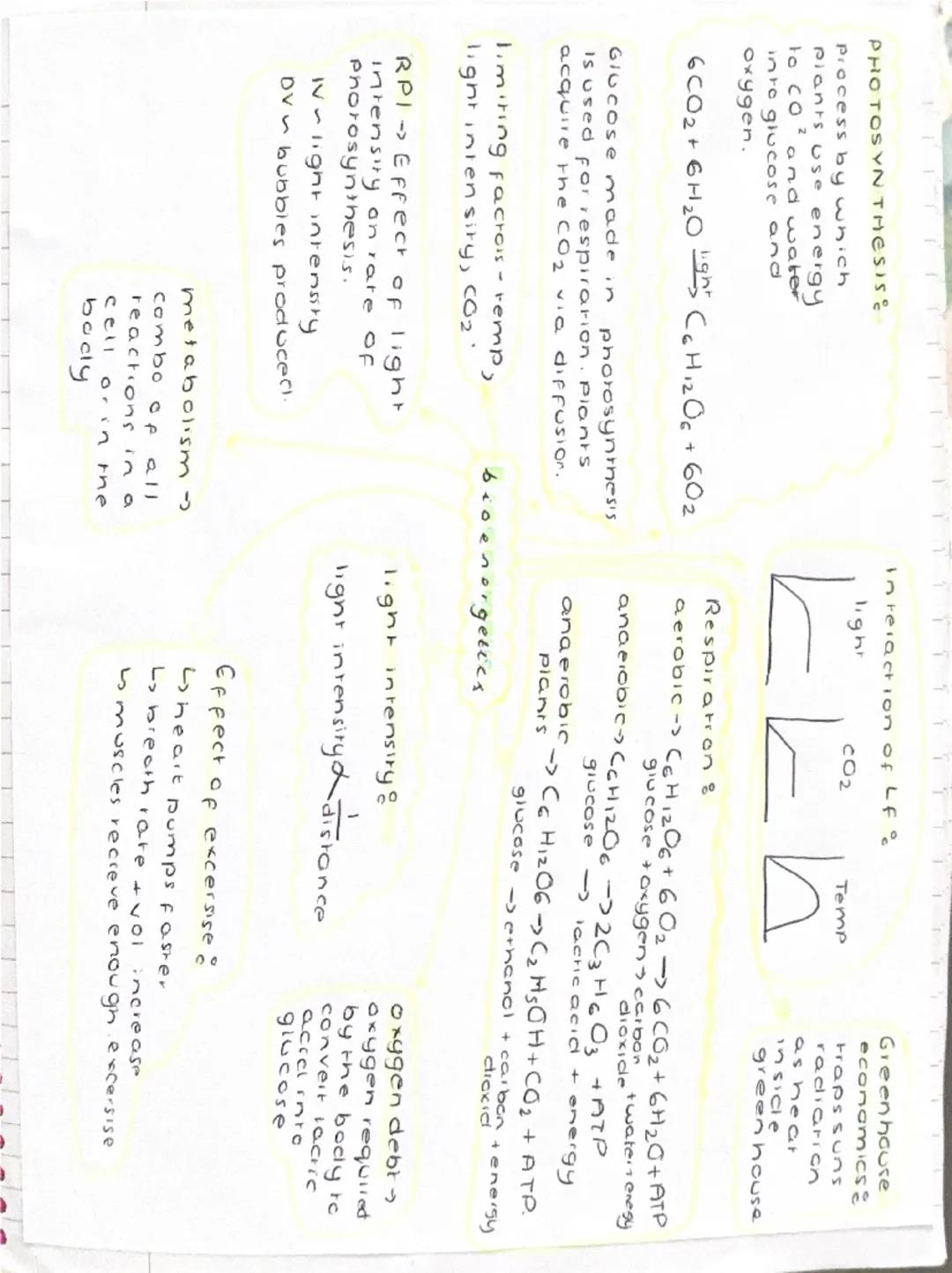 Eukaryares-cells that
have a nucleus (piant
and animais)
Prokaryotes cells thar
dont have a nucleus.
(bacteria)
nucleus contains generic mat