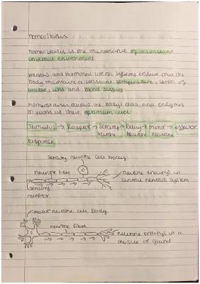 Know homeostasis  thumbnail