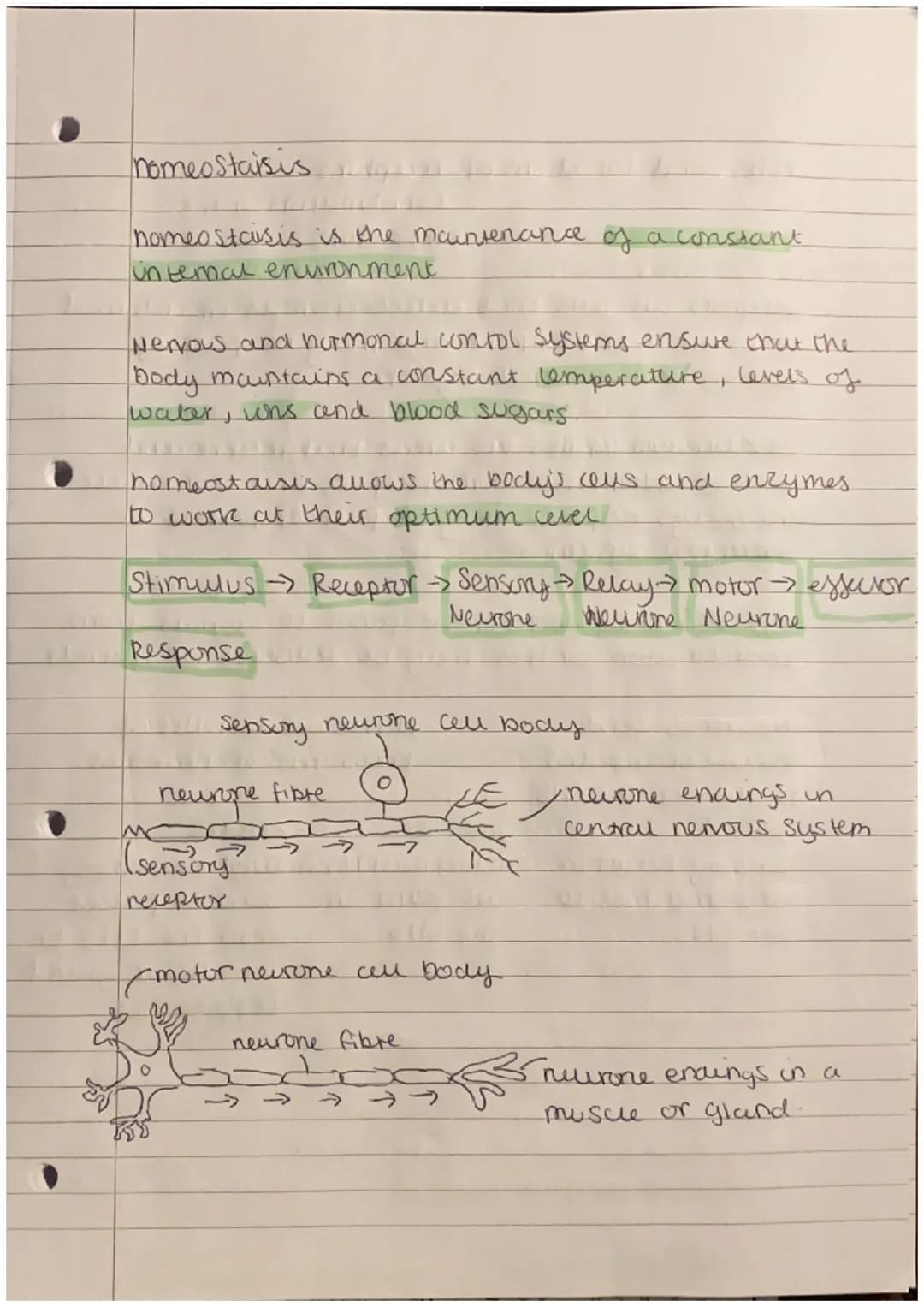 nomeostasis
homeostasis is the maintenance of a constant
internal environment.
Nervous and hurmonal contol systems ensure that the
body moun