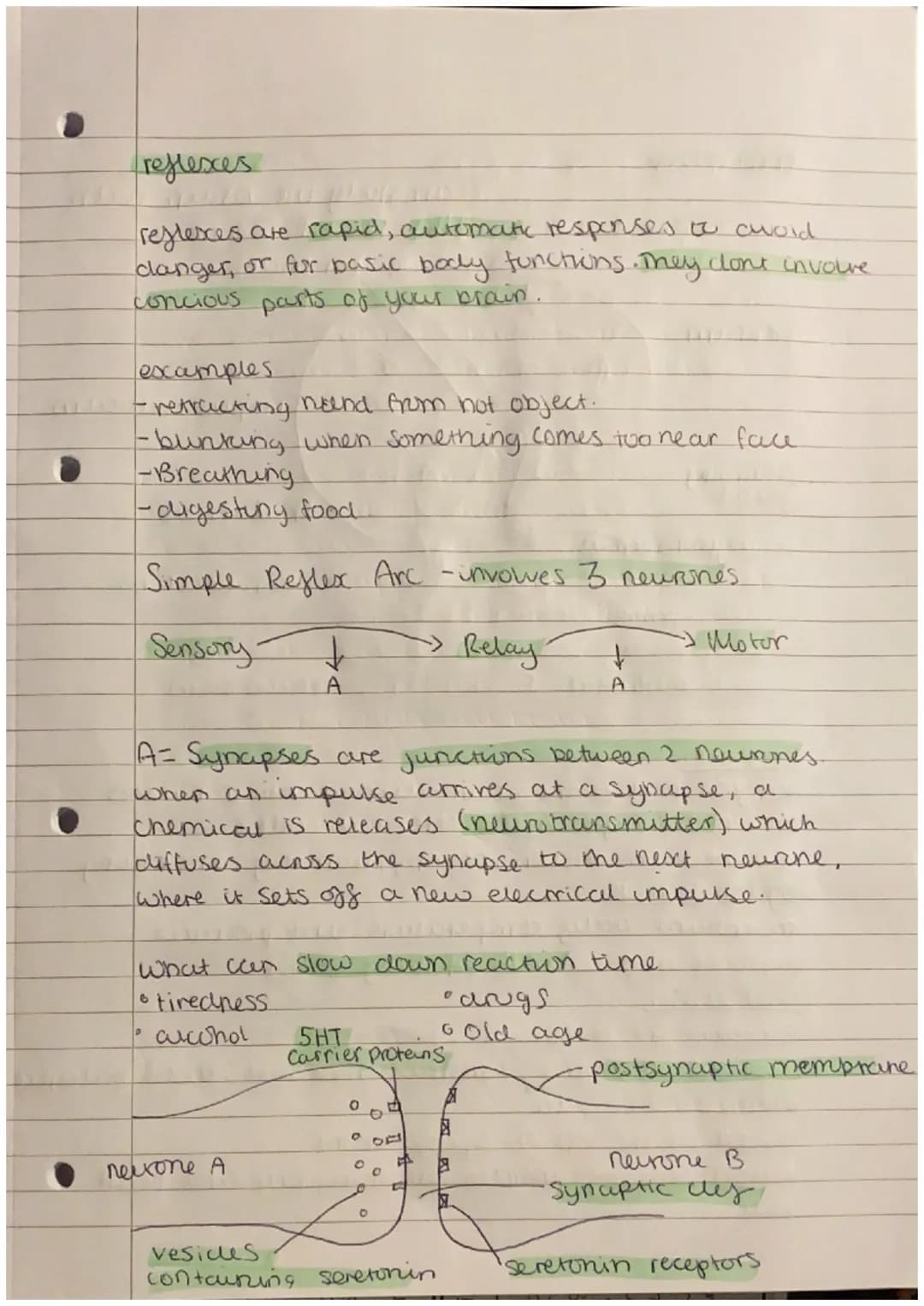 nomeostasis
homeostasis is the maintenance of a constant
internal environment.
Nervous and hurmonal contol systems ensure that the
body moun