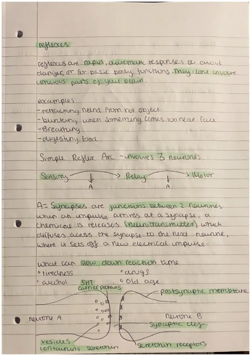nomeostasis
homeostasis is the maintenance of a constant
internal environment.
Nervous and hurmonal contol systems ensure that the
body moun