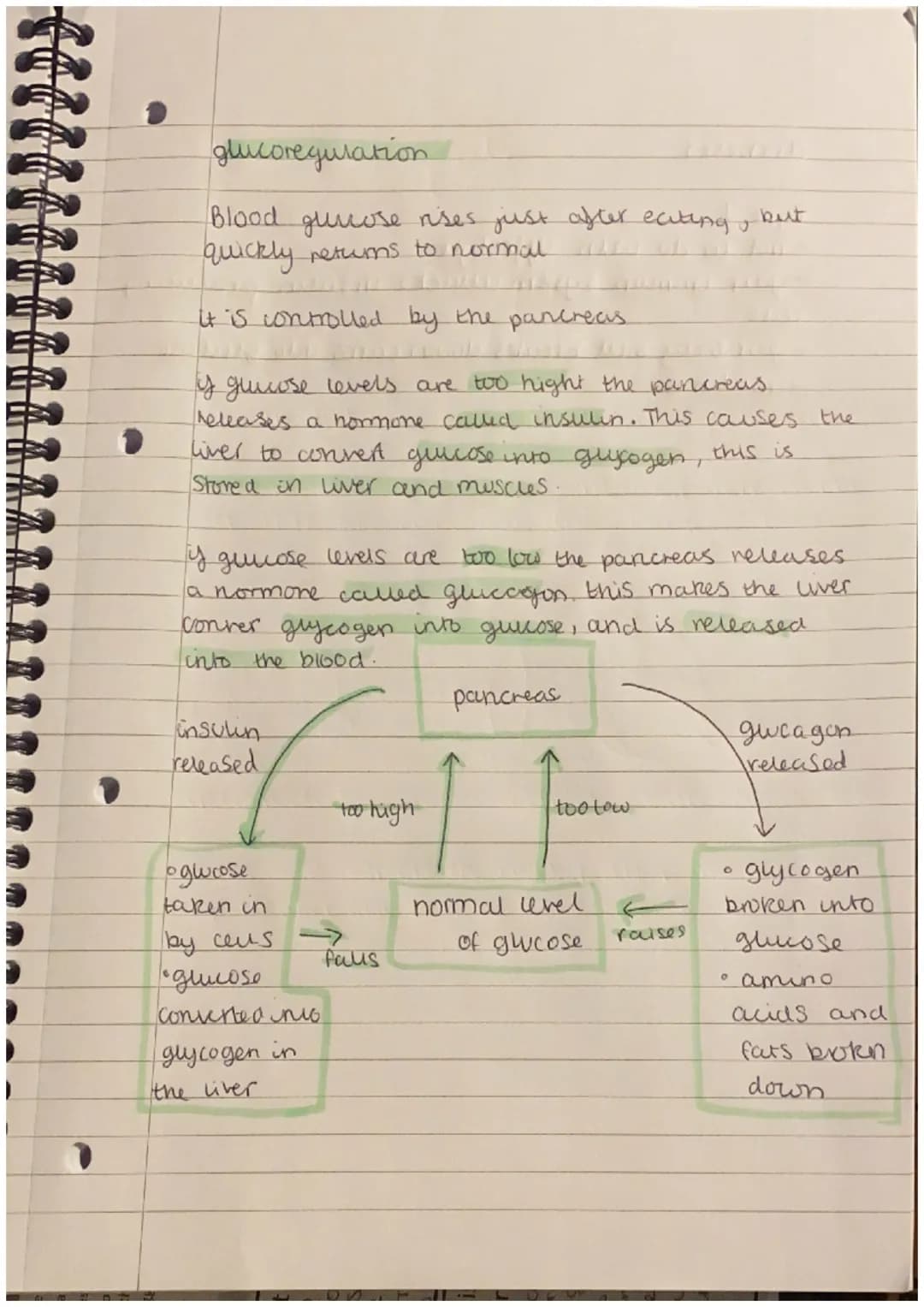 nomeostasis
homeostasis is the maintenance of a constant
internal environment.
Nervous and hurmonal contol systems ensure that the
body moun