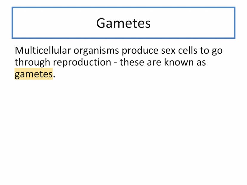 N5 Unit 2 KA3
Reproduction N5 biology course
1. Cell Biology
2.
3. Life on Earth
Multicellular Organisms Unit 2 - Multicellular organisms
1.