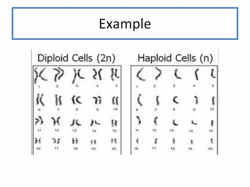 N5 Unit 2 KA3
Reproduction N5 biology course
1. Cell Biology
2.
3. Life on Earth
Multicellular Organisms Unit 2 - Multicellular organisms
1.