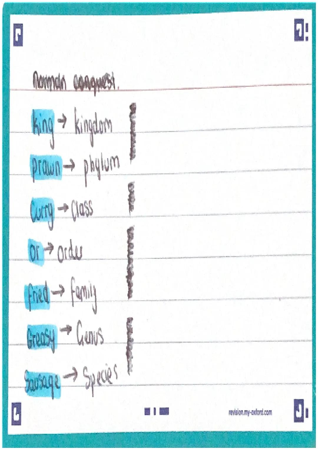 Fun Study Notes on Roman Conquest and How Plants Transport Stuff