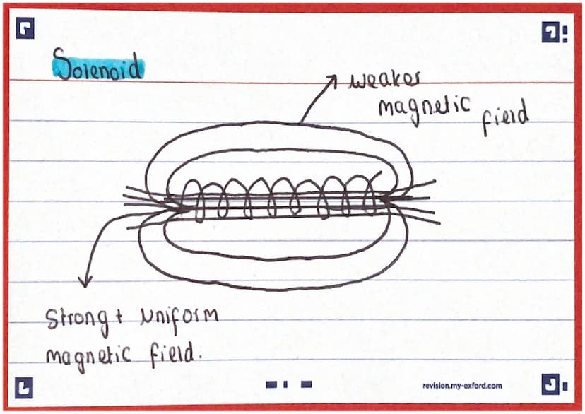 P
Roman conquest.
King → kingdorn
prawn → phylum
Query → Class
brordus
Cale fany
Greasy → Genus
店
新
Sausage →→Species A
revision.my-axford.c